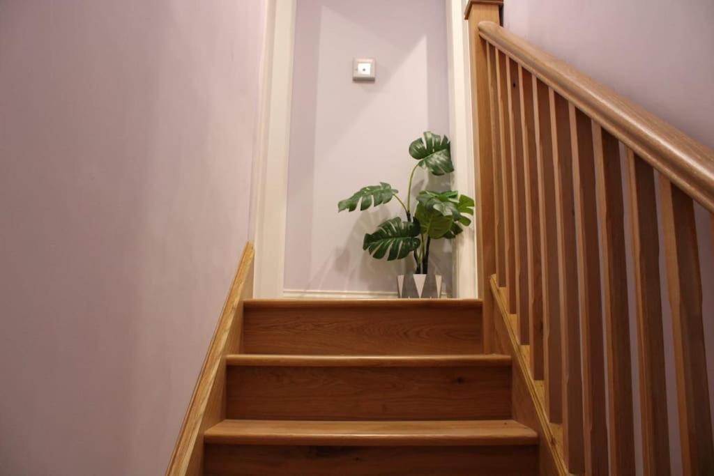 5 Star Apartment ロンドン エクステリア 写真